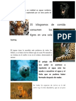 Animales