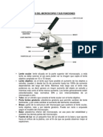 Partes Del Microscopio