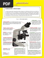 Componentes da Microscopia Óptica | PDF | Microscópio | Ótica