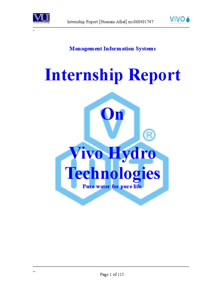 Internship Report Management Information Systems | PDF | Career ...
