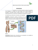 CROMOSOMAS