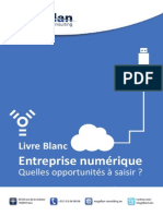 Magellan Consulting - LivreBlanc Entreprise Numérique PDF