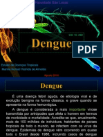 Dengue - Estudo de Doenças Tropicais