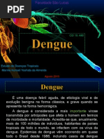 Dengue - Estudo de Doenças Tropicais