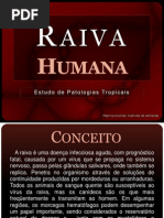 Raiva Humana - Estudo de Patologias Tropicais
