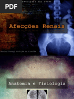 Afecções Renais