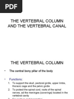 Download The Vertebral Column and the Vertebral Canal by marshmalou SN18752370 doc pdf