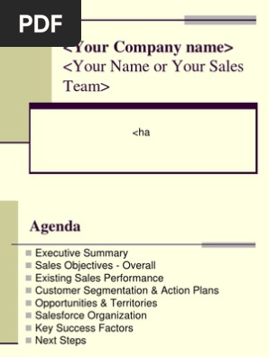 Sales Plan Presentation