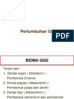 Pertumbuhan Gigi IIK