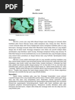 Manfaat Marsilea Crenata