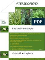 Plantae - Pterydophyta