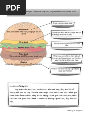 Hamburger Writing Sample Updated Paragraph Dogs