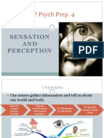 AP Psych Prep 4 - Sensation and Perception