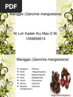 Download Manggis Garcinia mangostana by AryMasDewiWiantini SN187572752 doc pdf