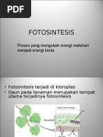 Download Proses Terjadinya Fotosintesis by Leonsius SN18757588 doc pdf