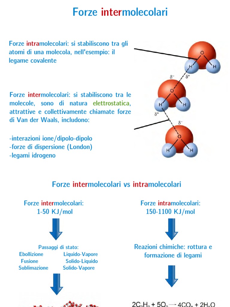 Forze Intermol Aa1314 R8 Pdf