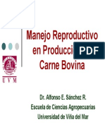 Manejo Reproductivo en Producción de Carne Bovina AS