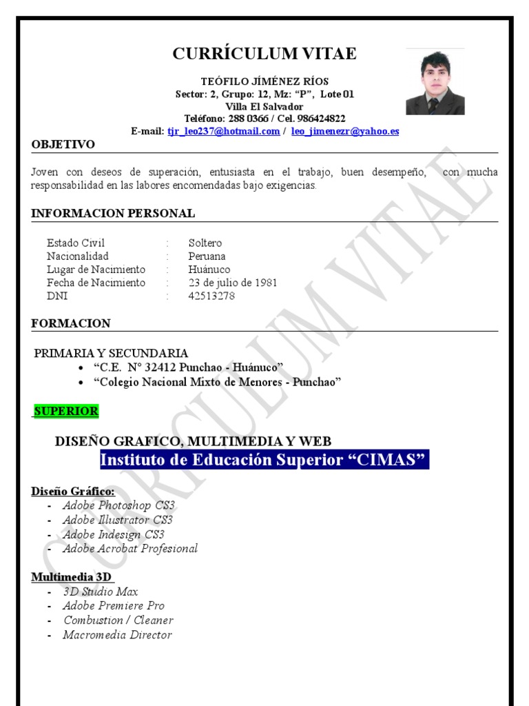 CV Teofilo Jiménez Ríos | PDF