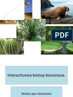 interactiunea_biotop_biocenoza