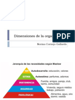 Dimensiones de La Organizacion