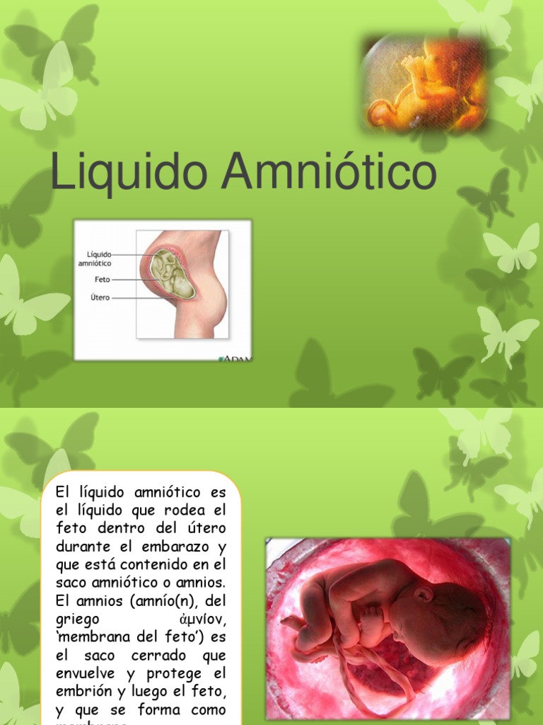 El líquido amniótico su formación, características y funciones durante