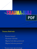 Trauma Buli