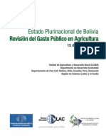 Bolivia Estudio de Gasto Publico Agricola2011