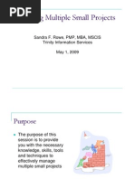 Download managing multiple small projects - sandra rowe by PMI South Florida Chapter SN18764245 doc pdf