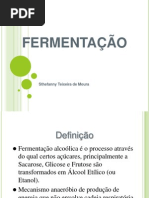 Produção de Etanol - Leveduras, Fermentação resumo