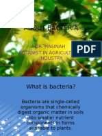 About Bacteria: Dr. Hasinah Botanist in Agricultural Industry