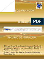 Recurso de Anulacion