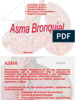 asma 2009