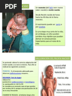 Recien Nacido
