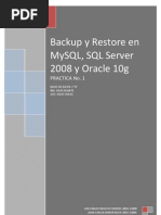 Download Backup and Restore by Mario Ramon Castellanos Arana SN18769819 doc pdf