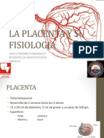 La Placenta y Su Fisiologia