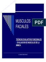 Musculos+Faciles