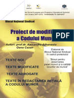 Proiect BNS de Modificare A Codului Muncii 2012