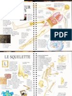 Le Corps Humain Documents en Couleur PDF