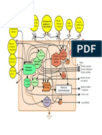 Diagrama Emergetico