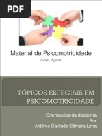 Apresentação psicomotricidade