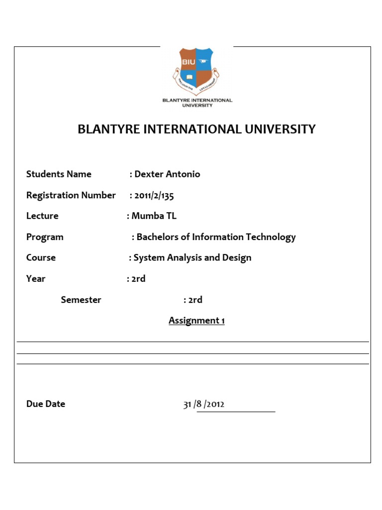 System analysis and design assignment sample image