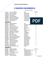 RANKING GRUPOS CACHORROS B 