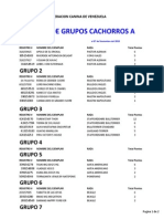 RANKING GRUPOS CACHORROS A 