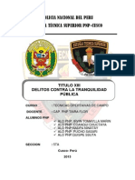 Seguridad Publica PNP