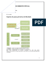 Direito Penal: Penas e Regimes