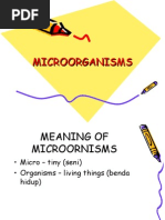 Download Microorganisms by cheem2009 SN18784153 doc pdf
