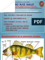 Diapositiva de Hidrobiologicos