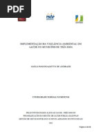 Artigo CVAS Saulo Paschoaletto