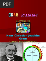 Download Gram Staining 2 by tummalapalli venkateswara rao SN18786091 doc pdf