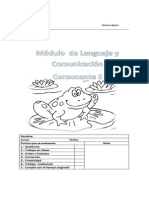 Modulo Consonante s